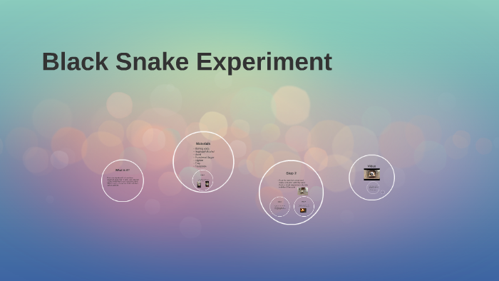 the black snake experiment