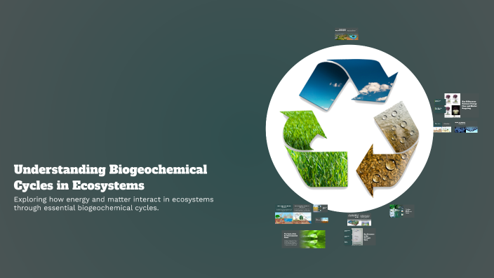Understanding Biogeochemical Cycles in Ecosystems by Antoinette Pinto ...