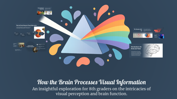 How the Brain Processes Visual Information by Linda Pettigrew on Prezi