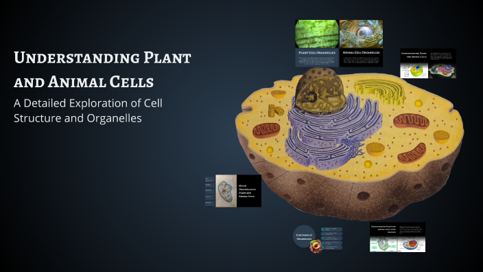 Understanding Plant and Animal Cells by Damian Ortiz on Prezi