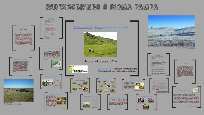 (Re) Descobrindo o Bioma Pampa by vitor vinicius dos santos on Prezi
