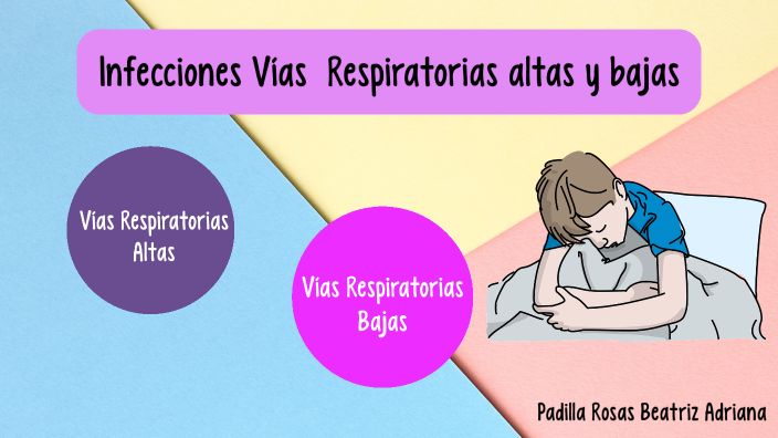 Infecciones Vía Respiratoria Alta Y Bajas By Adriana Padilla Rosas On Prezi