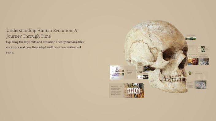 Understanding Human Evolution: A Journey Through Time by J.J. Gudiso on ...