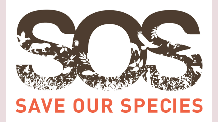 Sos save. SOS логотип. SOS save our. SOS logo.