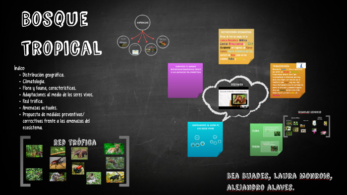 Biomas by bea buades on Prezi