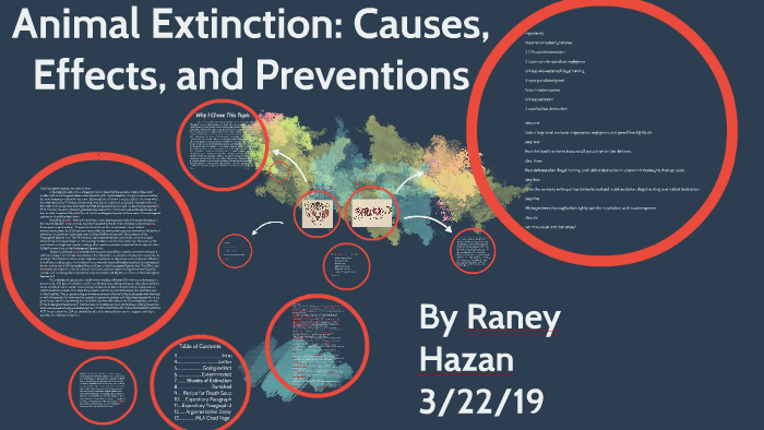 causes of animal extinction essay