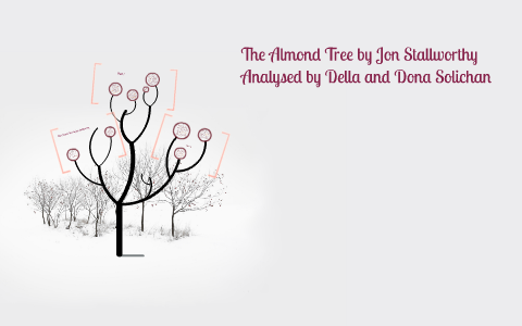 Almond tree jon stallworthy essay 08 image