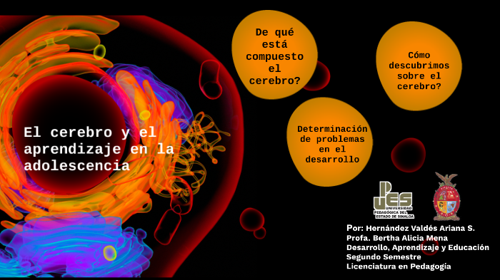 El cerebro y el aprendizaje en la adolescencia by Ariana Hernandez on Prezi