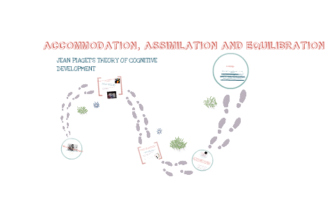 assimilation accommodation and equilibration