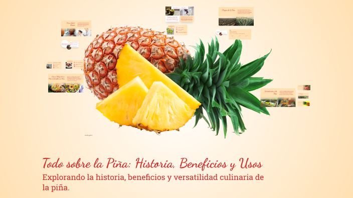 Todo sobre la Piña: Historia, Beneficios y Usos by Fidelina Oliveros ...