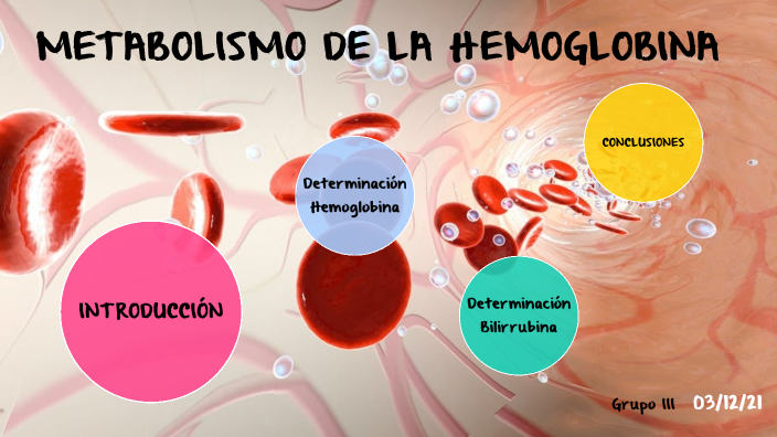 METABOLISMO DE LA HEMOGLOBINA by ANA LUCIA VEGAS LABRIN on Prezi