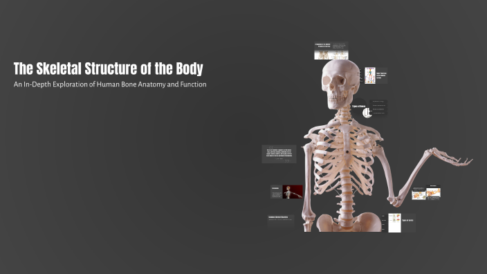 John Body Structure The Skeletal Structure of the Body by John Robston on Prezi