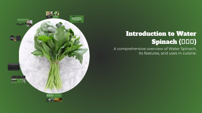 Introduction to Water Spinach (空心菜) by Lin Chen on Prezi