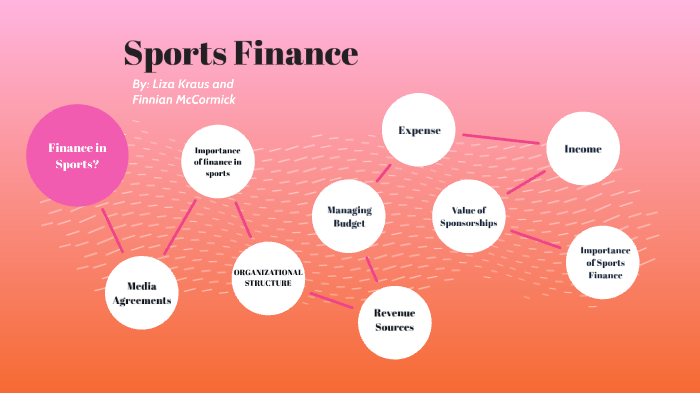 Chapter 6: Sports Finance by Elizabeth Kraus