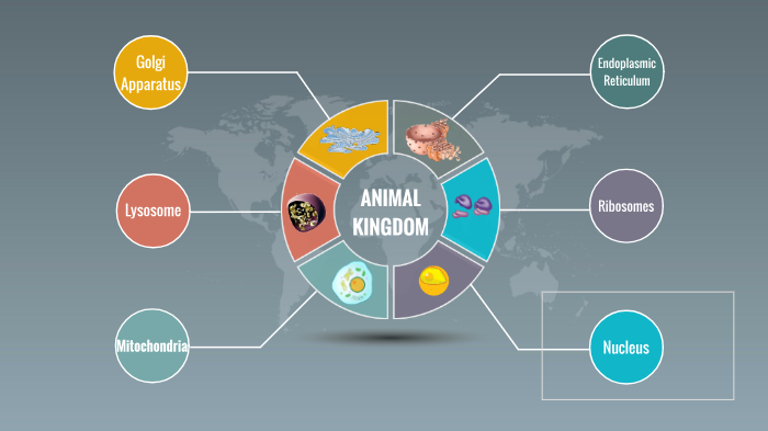 Animal Cell Presentation by Martina Chan on Prezi