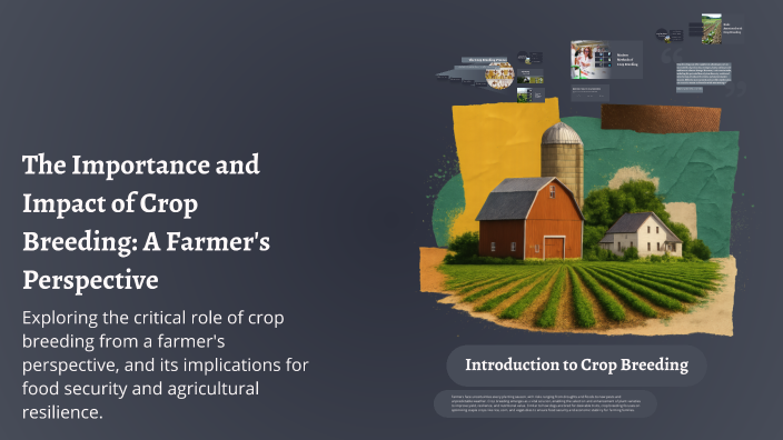 The Importance and Impact of Crop Breeding: A Farmer's Perspective by ...