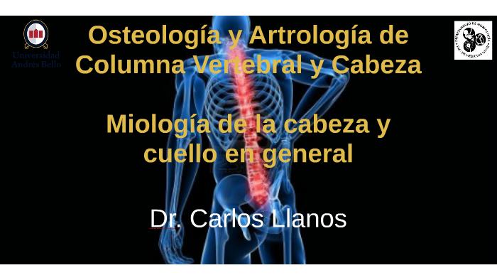 Osteología Y Artrología De Columna Vertebral Y Cráneo Morf-100 By ...