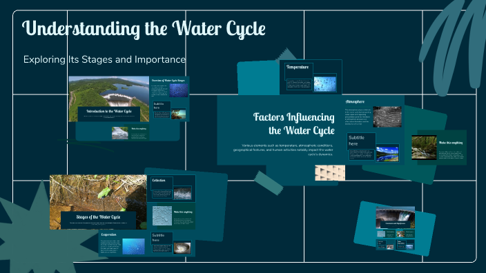 Understanding the Water Cycle by Bella Tedford on Prezi