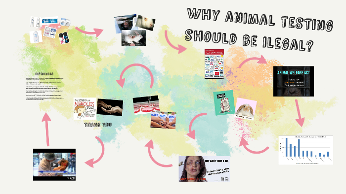 Why ANimal Testing Should Be Ilegal By Valery Julieth Ramirez Moreno why-animal-testing-should-be-ilegal-by-valery-julieth-ramirez-moreno