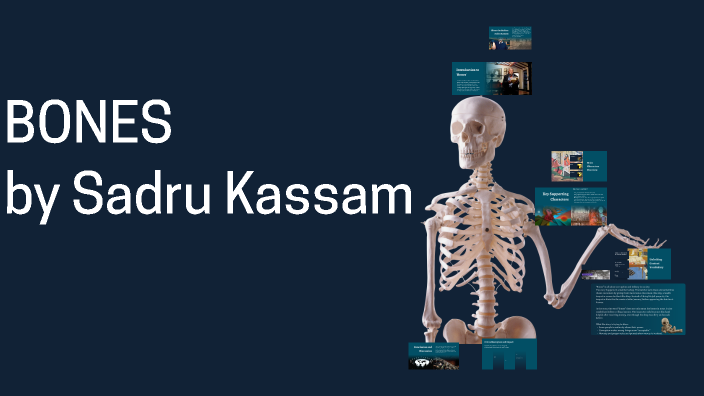 Exploring 'Bones' by Sadru Kassam: Characters and Themes by Roshane ...