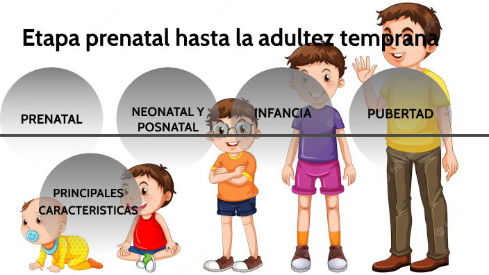 Etapa prenatal hasta la adultez temprana by carolina pellegrini on Prezi