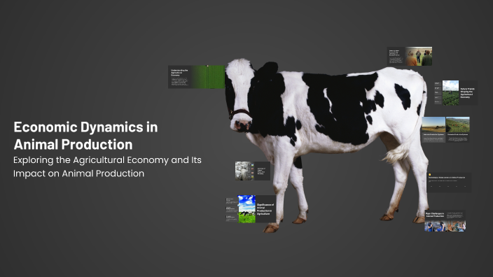 Economic Dynamics in Animal Production by Sameh Alfar on Prezi