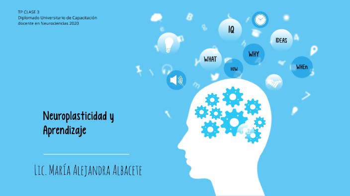 Neuroplasticidad Y Aprendizaje By Alejandra Albacete On Prezi