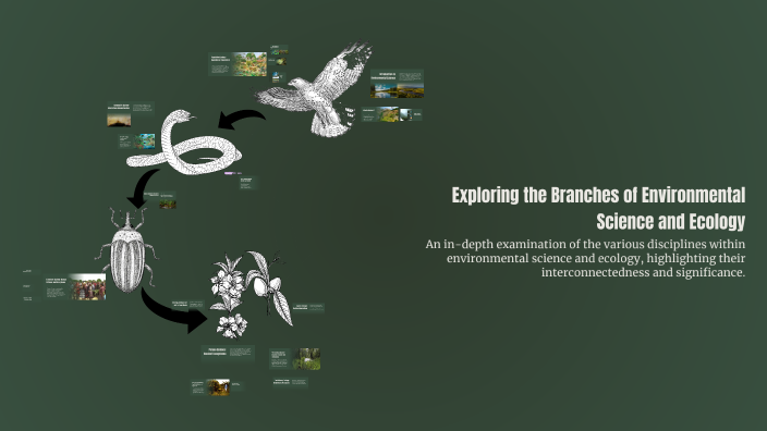 Exploring the Branches of Environmental Science and Ecology by Ashley ...