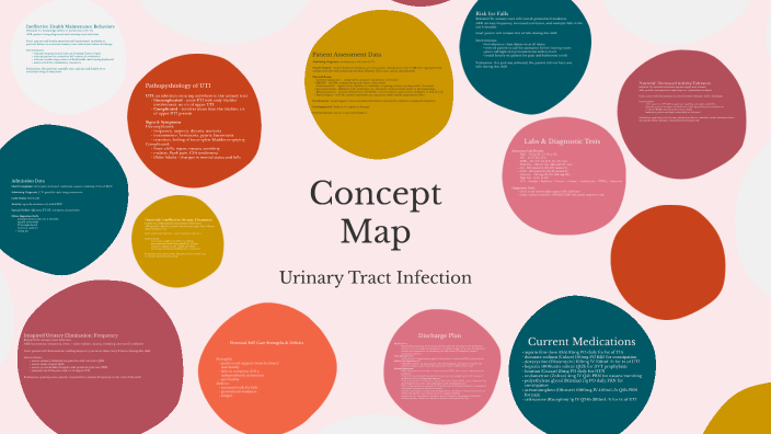 MS II Concept Map by Emily Stringer on Prezi