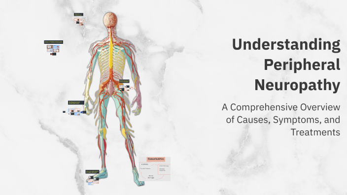 Understanding Peripheral Neuropathy by Courtney Hunt on Prezi