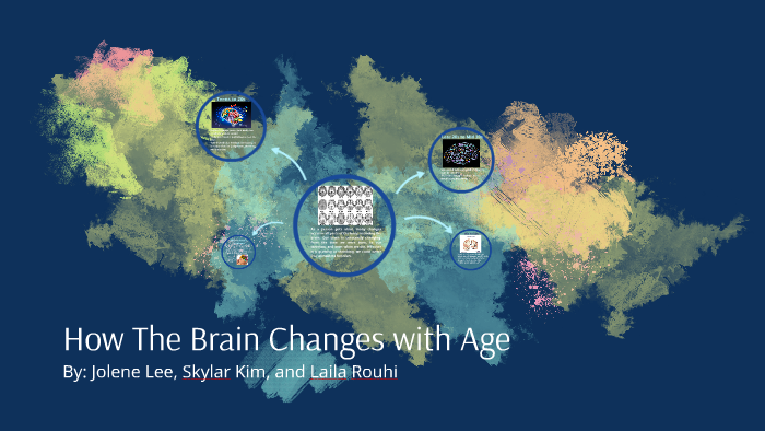 How The Brain Changes With Age By Skylar Kim On Prezi