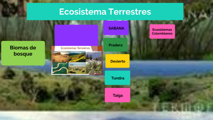 Ecosistemas Colombianos by NATHALIE REY on Prezi