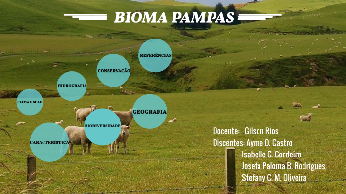 PAMPAS by Ayme Oliveira on Prezi