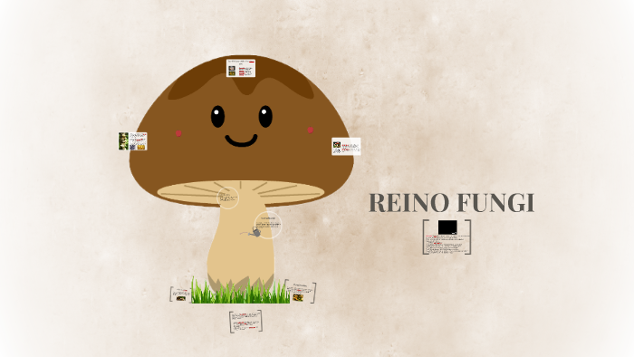 REINO FUNGI by Liz Ramírez