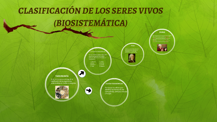 CLASIFICACIÓN DE LOS SERES VIVOS (BIOSISTEMÁTICA) by Raul valerio on Prezi