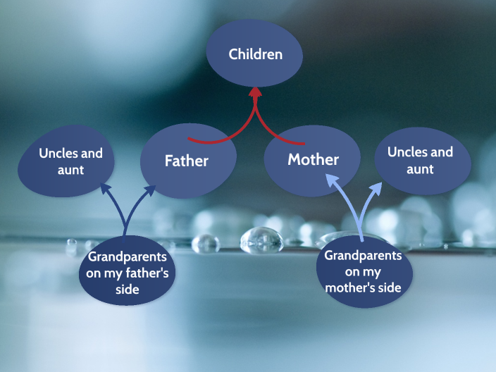 My family tree by Enrique Gameros Guzmán on Prezi