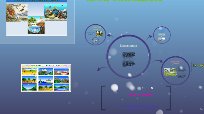 Ecosistemas by Betsy Sanchez on Prezi