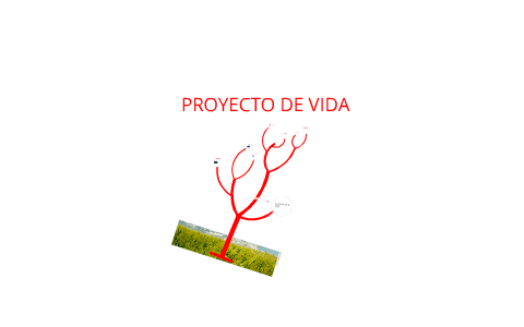 PROYECTO DE VIDA by jhoan sebastian serrano pedraza on Prezi