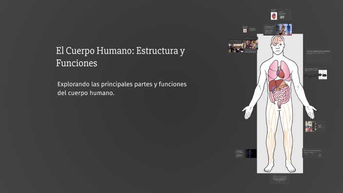 El Cuerpo Humano: Estructura y Funciones by Fernanda Amaya on Prezi