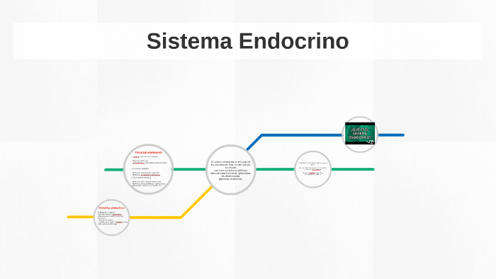 Sistema Endocrino by Lunita Castaño