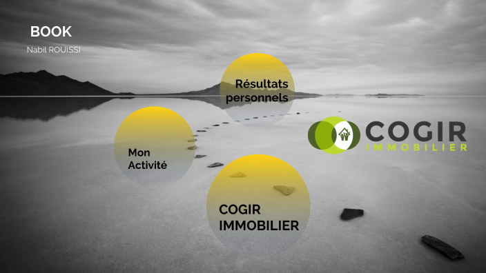 Conduite et présentation d'activités professionnelles by Nabil Rouissi