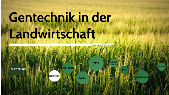 gentechnik in der landwirtschaft by anouk garmshausen on Prezi