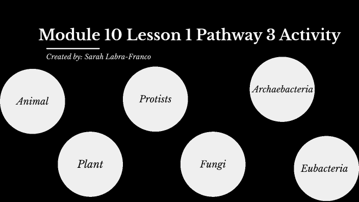 Module 10 Lesson 1 Pathway 3 Activity by Sarah Labra-Franco on Prezi