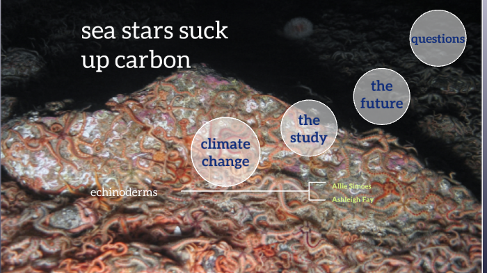 Carbon by ashleigh fay on Prezi