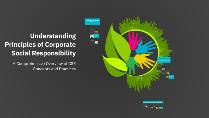 Understanding Principles Of Corporate Social Responsibility By Gabriel