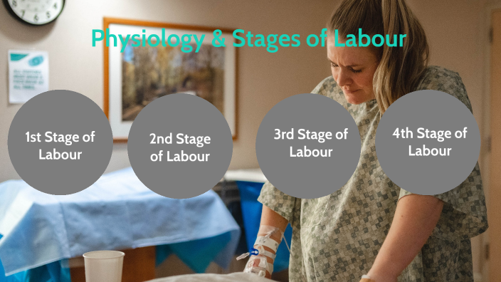 Stages of Labour - The 2nd Stage by Shelley Macmillan