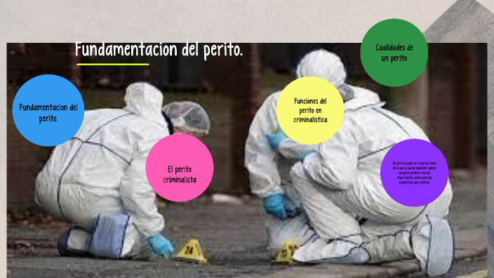 Derechos Y Obligaciones Del Perito En Criminalistica prezi.com