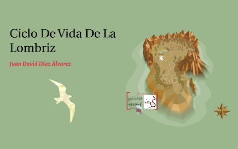 ciclo de reproducción de la lombriz de tierra