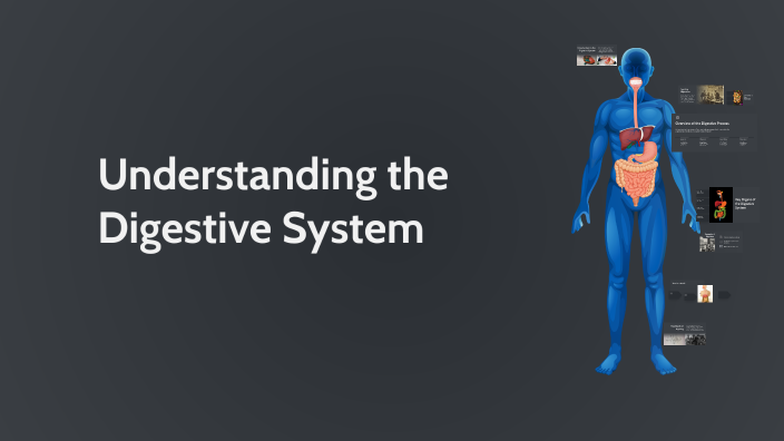 Understanding the Digestive System by Cresente Claver on Prezi