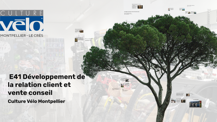 Développement de la relation client et vente conseil by on Prezi
